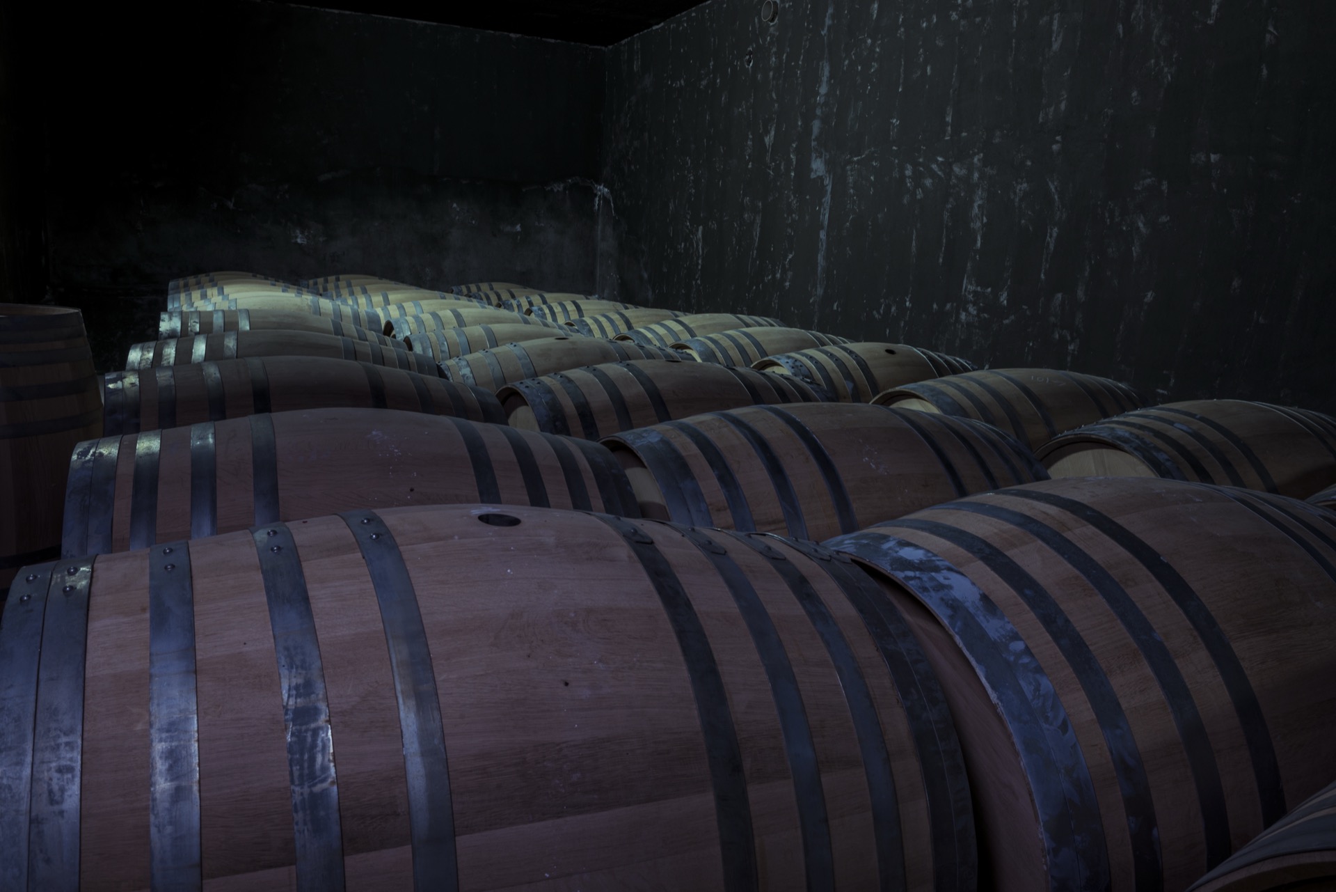 Wine cellar with barrels, Portugal